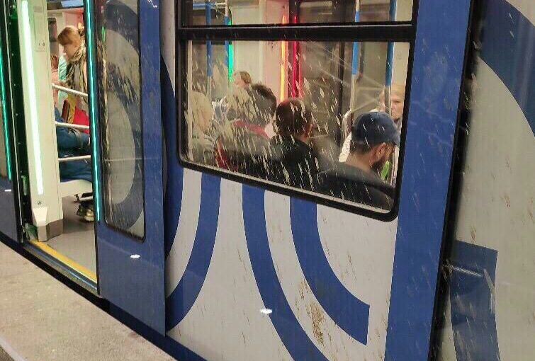 Новую ветку затопило